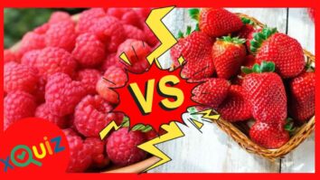 Che frutta sei